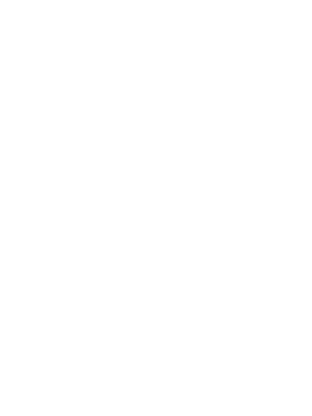 IRECMS Logo